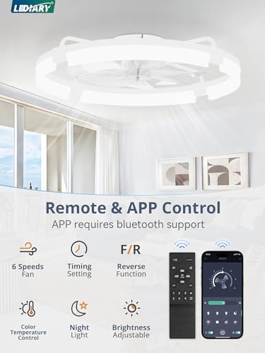 LEDIARY 24-Inch White Ceiling Fan with Lights, Low Profile Fandelier, Remote & App Control
