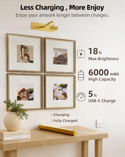 EZVALO 16 Inch Rechargeable Picture Light with Gold Finish, 6000mAh Battery, Adjustable Color & Brightness