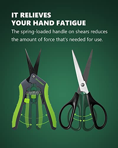 STAYGROW 6.5 Inch Straight & Curved Pruning Shears - Ultra Sharp Garden Scissors, 2-Pack
