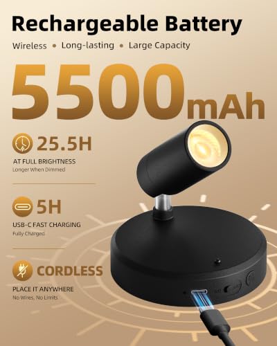 EZVALO Black Rechargeable Indoor Spotlights for Wall Display, 2 Pack
