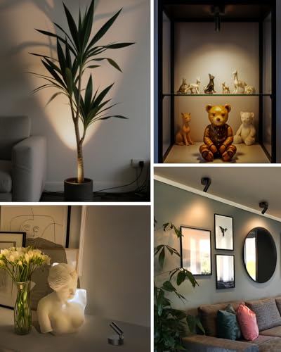 GOODEA Black Rechargeable Indoor Spotlights with Remote, 3000mAh, 3 Color Temperatures