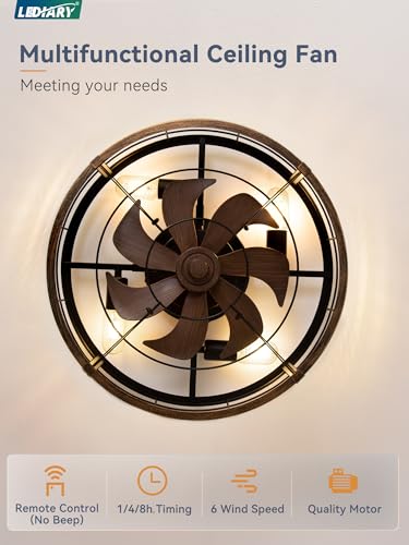 LEDIARY 20-Inch Black & Gold Caged Low Profile Ceiling Fan with Light & Remote