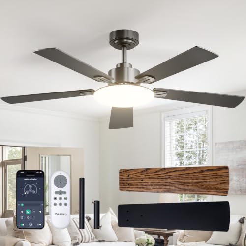 Passky Black 52 Inch Ceiling Fan with Lights & Remote Control
