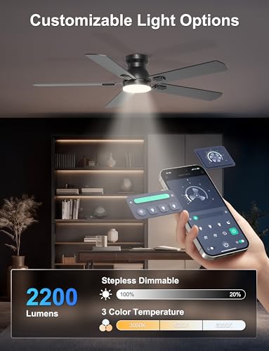 Phylluz 52-Inch Black Flush Mount Ceiling Fan with Lights for Bedroom