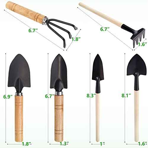 Small Garden Tool Set, 6 Pieces Iron Gardening Kit Including Hand Shovel, Transplant Shovel and Hand Rake with Wood Non-Slip Handle Perfect for Plant Lovers