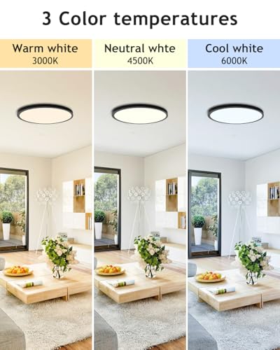 Hepside 2-Pack Black 12-Inch Dimmable LED Ceiling Light Fixtures, 3000K-6000K