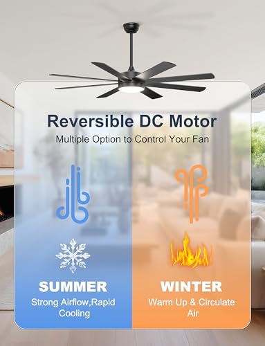 Phylluz 60'' Black Ceiling Fan with Lights Remote & App Control