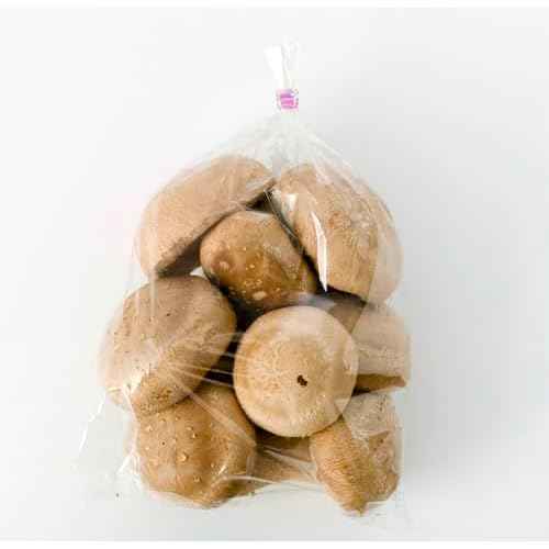 Mini Skater 4" Metallic Twist Ties Foil Bread Ties for Packaging Candy Goodies Cookies Gift Cellophane Treat Bags Christmas Wedding Party Favor Supplies,500Pcs (Iridescent)