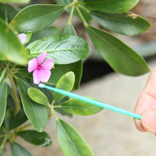 BinaryABC Vegetable Pollinator Tool Flower Pollination Brush Fruit Tree Pollinator Garden Pollinator Tools,100PCS (Green)