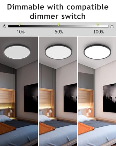 Hepside 2-Pack Black 12-Inch Dimmable LED Ceiling Light Fixtures, 3000K-6000K