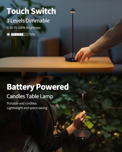 NEWSEE Set of 2 Black Cordless Portable LED Desk Lamps with Touch Control