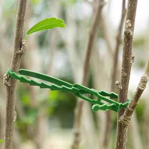 GXXMEI 200PCS Adjustable Plant Ties - Flexible Green Multi-Function Sturdy Garden Twist Tie for Plant Support, Tree, Shrub - PT-200