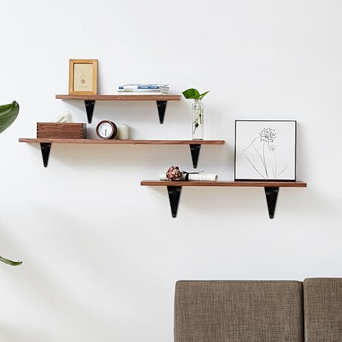 Lilaly 10 Pack Black 6x8 Inch Heavy Duty Shelf Brackets for Wall Shelves