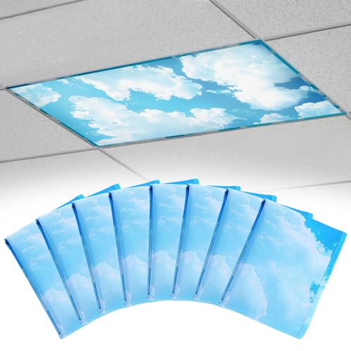 Cloud Fluorescent Light Covers 8-Pack for Ceiling Lights Classroom - Magnetic, Blue, 4x2 ft