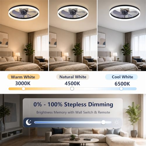Fszdorj 20'' Low Profile Ceiling Fan with Light & Remote Control - Black