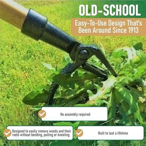 Stand Up Weed Puller Tool with Long Bamboo Handle - Grampa's Weeder