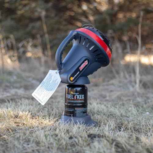 3,800 BTU Little Buddy Heater