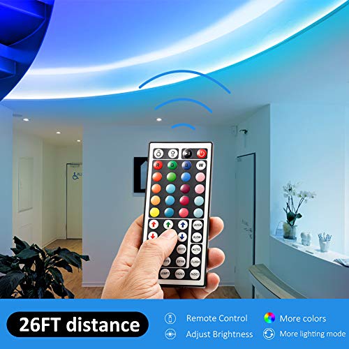 DAYBETTER 32.8ft RGB LED Strip Lights Kit with Remote & Power Supply
