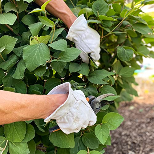 Wells Lamont Men¡¯s Full Leather Goatskin Work Gloves, Reinforced Palm Patch with Elastic Wrist, Soft Grain Leather for Durability, Comfort, and Dexterity