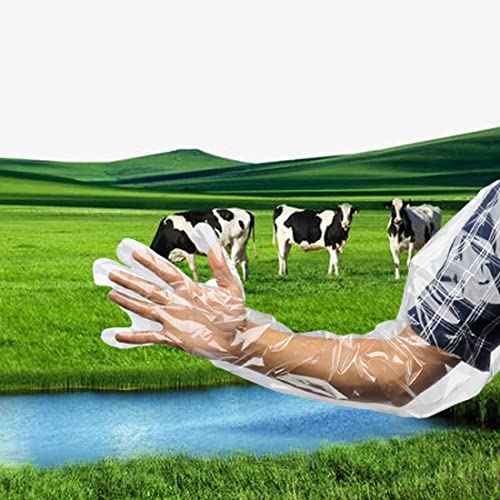 50 Pack Shoulder Length Gloves Veterinary Insemination Rectal Long Gloves Disposable Plastic Palpation Glove 35 Inch Long for Dogs Cattle Horse Gastrointestinal Examination Field Dressing