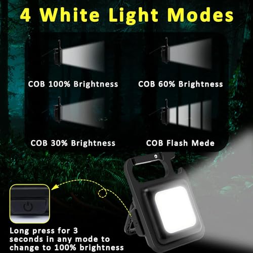 MAKDAK Black Rechargeable Keychain Flashlight 2Pack - 800 Lumens, Magnet & Bottle Opener