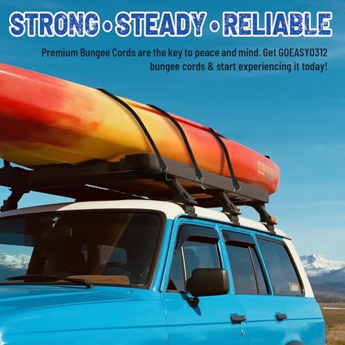 Bungee Cords with Hooks 10 Pack - 10", 15", 21", 31" Heavy Duty Rubber, Includes 2x 10" / 2x 15" / 4x 21" / 2x 31"