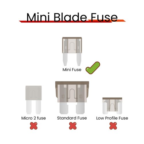 (60Pcs) 2 Amp Mini Car Fuses, 2A Automotive Fuses, Blade Fuse for Car/RV/Truck/SUV/Motorcycle/Boat
