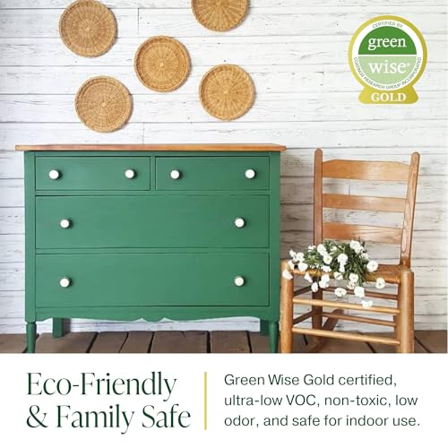 Country Chic All-in-One Chalk Paint - Sage Advice 4 oz - Furniture & Home Decor
