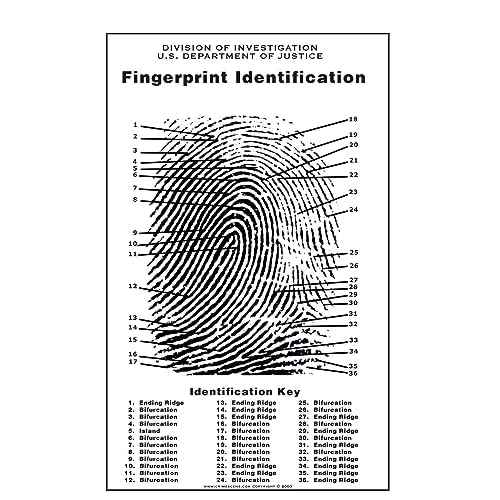 Basic Fingerprint Chart Crime Scene Fingerprint Chart, Poster Size 24
