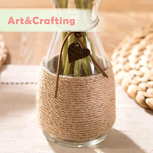 Brown 2mm Natural Jute Twine String - 800 Ft (245M) for Craft Gardening Gift Wrapping