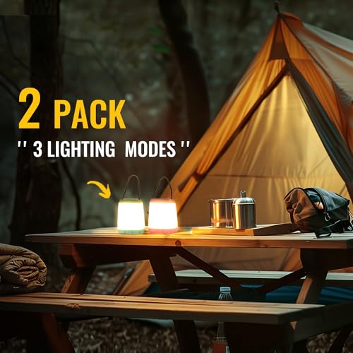 HOKOILN 2-Pack Portable LED Camping Lanterns - Battery Powered Tent Lights