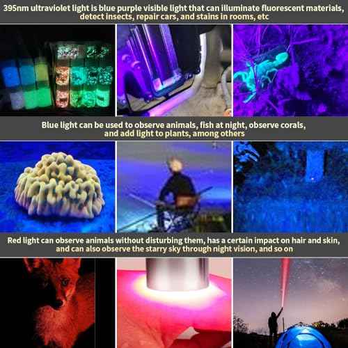 Six in One Jade Recognition Strong Light Flashlight, LED Outdoor Mineral Gemstone Crystal Beeswax Detection Light, White Yellow Red Blue Light 395nm and 365nm UV Multi Source Flashlight.