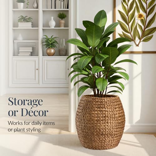 Chestnut Best Choice Products Scalloped Hyacinth Storage Basket with Lid – Handwoven Plant & Home Organizer