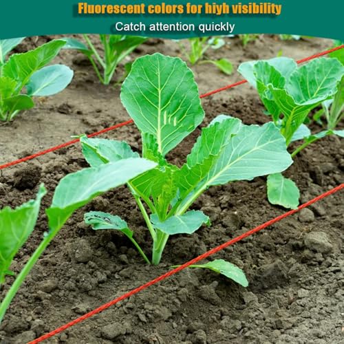 Reloadable Line Reel,Mason Line String line with Handle, 600 Ft Length Nylon Twine,18 Braided Nylon String for Gardening Or Masonry Tools,Outdoor Kite£¬Twine String for Gardening Fluorescent Orange