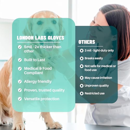 London Labs 1000 Count Disposable Vinyl Gloves Powder Free Latex Free Large