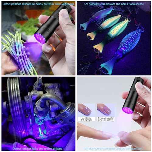UV Flashlight Black Light?Small Portable Mini 12 LED Blacklight Flashlight for Hidden Stain Detection in Room, Resin Curing,Scorpion & Bed Bug Find,Pet Urine & Dry Stain Detection/Carpets/Rugs/Floors