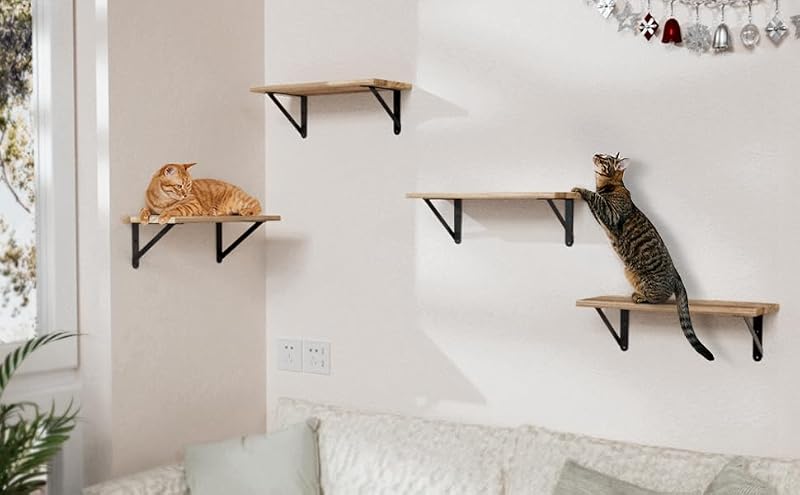 COCOYA Black 4x3 Wall Shelf Brackets 6 Pack with Screws & Anchors