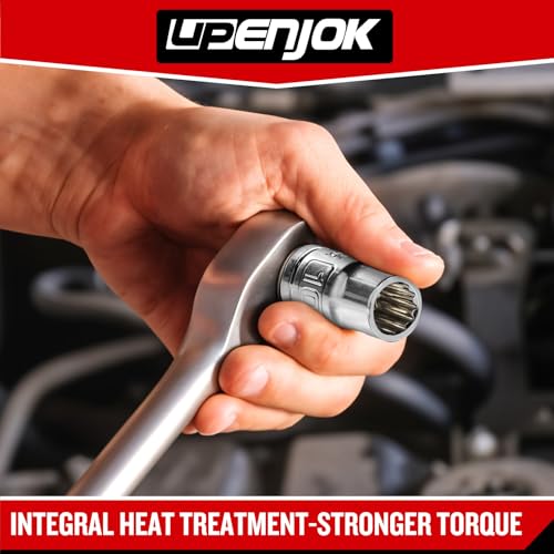 6PCS 3/8" Drive 10mm Socket Set, Deep & Shallow, Mirror Finish, Cr-V Steel