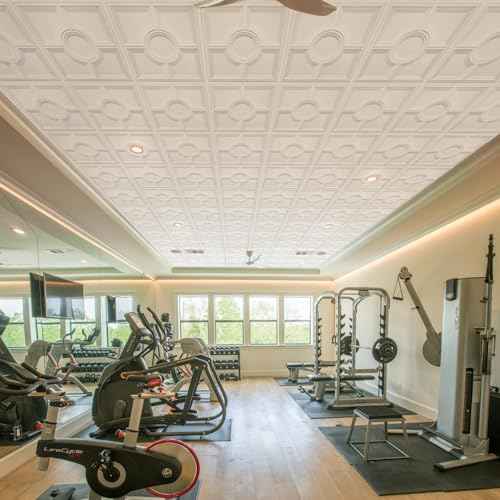 STICKGOO Drop Ceiling Tiles 24 x 24in, Waterproof, Premium PVC Ceiling Panels to Prevent Breakage, Pack of 12 Tiles Cover 48 Sq. Ft, White