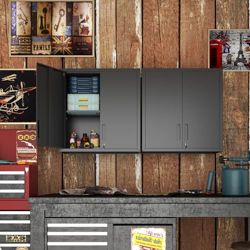 Wall Mounted Steel Storage Cabinet with Lockable Doors, 2-Section, 29.53 W x 11.81 D x 30.31 H, Black / S - 2 Doors