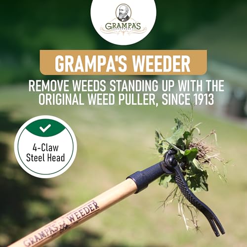 Stand Up Weed Puller Tool with Long Bamboo Handle - Grampa's Weeder