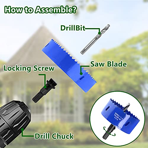 Luomorgo 3-1/8 inch 79mm Hole Saw, 1 1/4 inch Cutting Depth HSS Bi-Metal Hole Cutter with Hex Shank Drill Bit Adapter for Wood Cornhole Boards Plastic Drywall Fiberboard