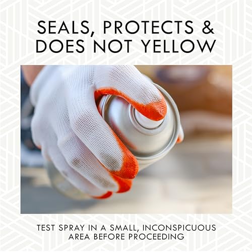 Rust-Oleum Triple Thick High Gloss Clear Protective Spray 12oz