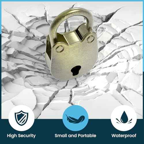 SDTC Tech 2pcs Mini Antique Padlock Retro Vintage Style Bear Head Shape Bronze Locks and Keys