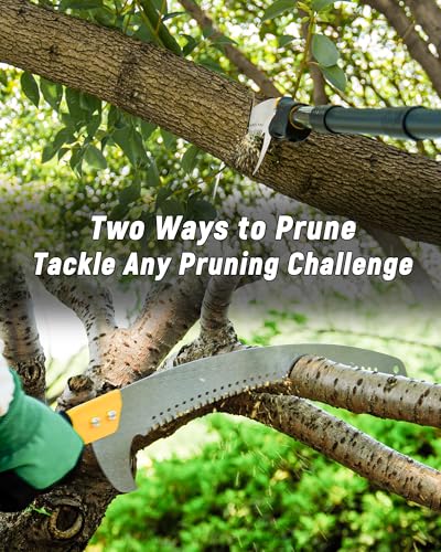 BlumeTrec 14.5FT Pole Saw with Adjustable Length Tree Trimming Tool