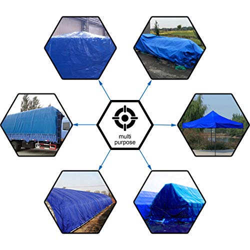 CARTMAN 10x12 Ft Blue Waterproof Poly Tarp Cover - Multipurpose Weatherproof Shelter
