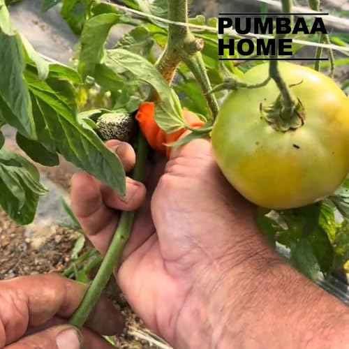 12 Pcs Gardening Thumb Knife Set, Finger Cutter with Anti-Cutting Finger Protector, Thumb Cutter for Vegetable Garden, Harvesting and Deadheading, Present for Gardeners