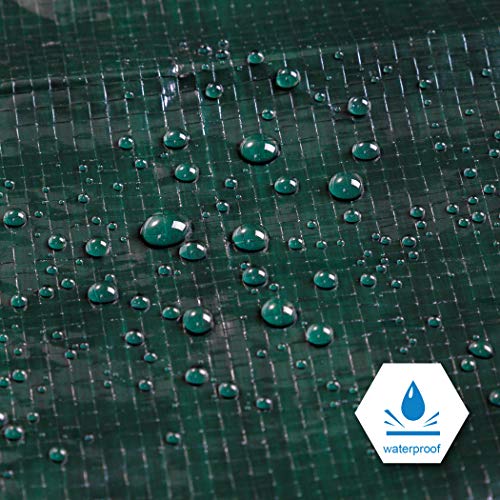 CARTMAN 8x10Ft Waterproof Poly Tarp Cover - Heavy Duty Green 8 Mil