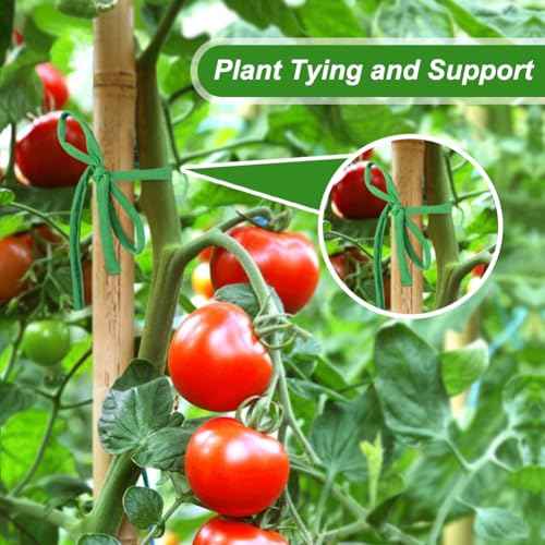 Shintop 2 Packs Garden Twine, Soft Plant Ties Green Tomato Ties Stretchy Garden String for Supporting and Tying Climbing Plants Veggies Flower(98 Feet/Roll