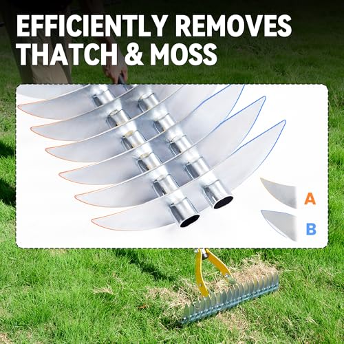 Heavy Duty Thatch Rake for Lawn with 74in Steel Handle - Dethatching Tool